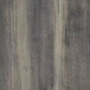 V6009
